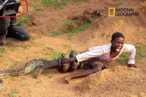 蛇に襲われ叫びをあげる少年を冷静に撮るカメラマン