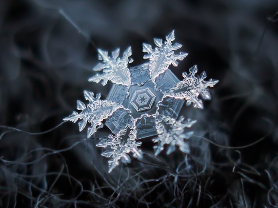 Alexey Kljatov雪の結晶