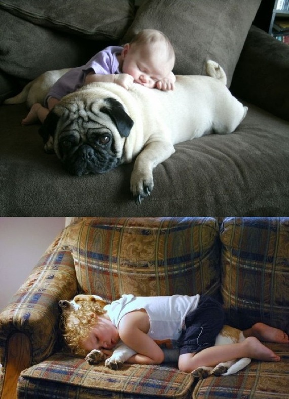 犬と一緒に寝る幼児