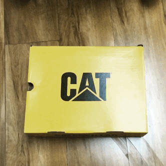 キャタピラーの箱に収納される猫