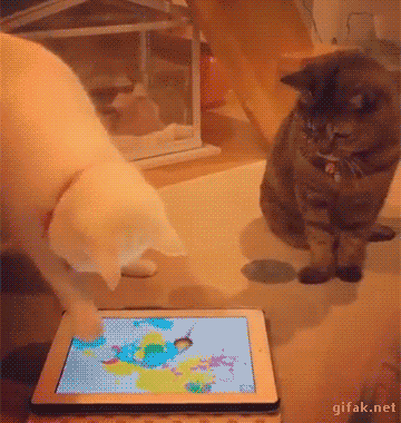 iPadで遊ぶ猫がついでに隣の猫にもパンチ