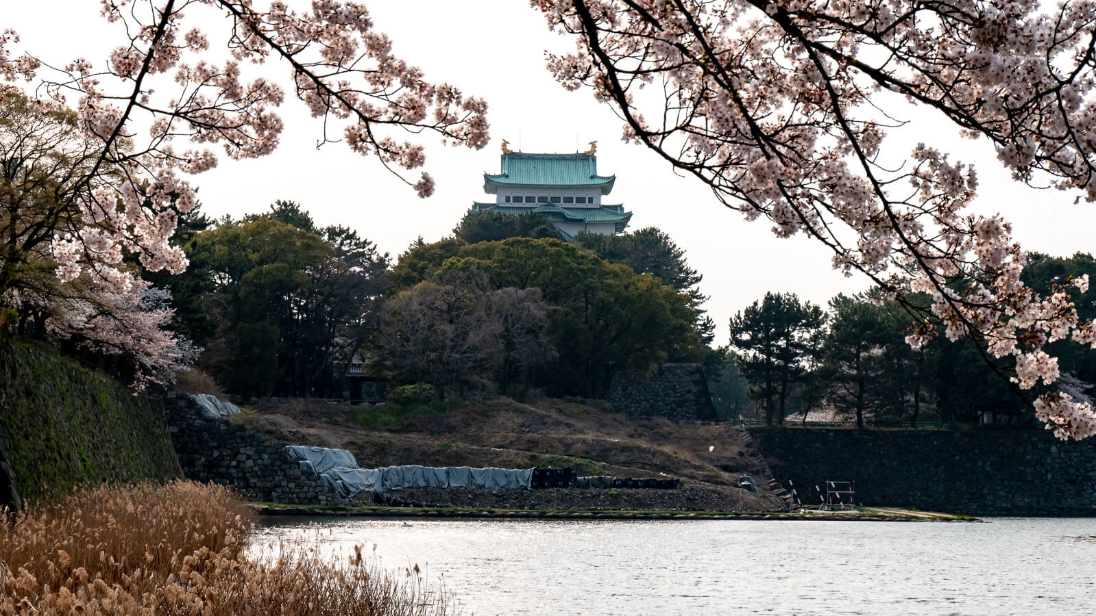 東から見た名古屋城